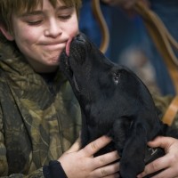 10 Best Dog Breeds for Children